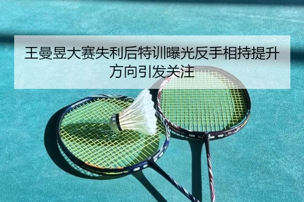 王曼昱大赛失利后特训曝光反手相持提升方向引发关注
